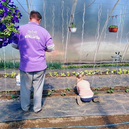 Łagów Marchewkowe Poleヴィラ エクステリア 写真